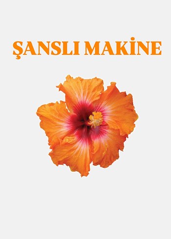 ŞANSLI MAKİNE