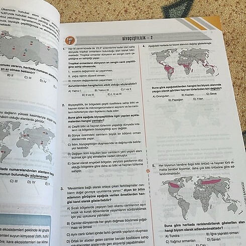  Beden Renk Ayt bilgi sarmal coğrafya