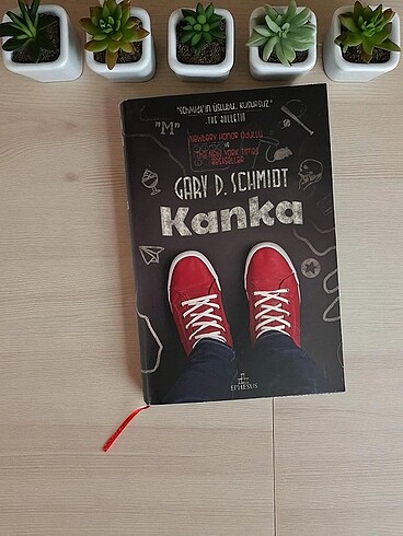 Gary D. Schmidt - Kanka