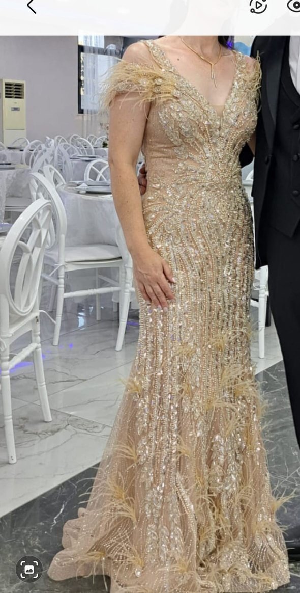 Parıltılı İşlemeli V Yakalı Uzun Abiye Elbise - Görsel 2