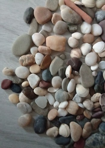  Beden Çok Renkli Deniz kabukları ve taşlar