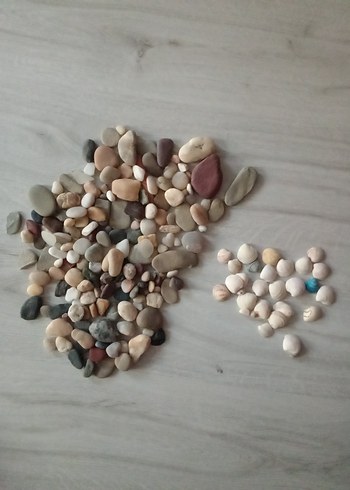 Çok Renkli Deniz kabukları ve taşlar
