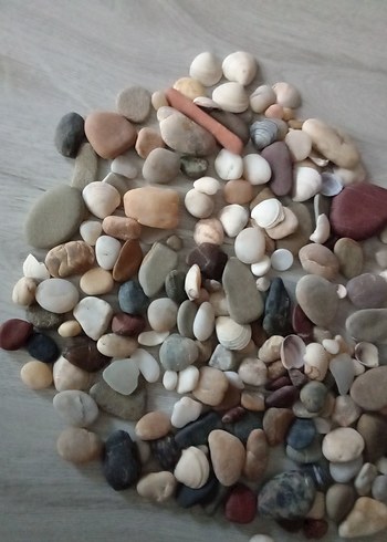  Beden Renk Çok Renkli Deniz kabukları ve taşlar