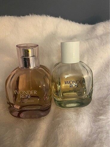 Zara wonder rose