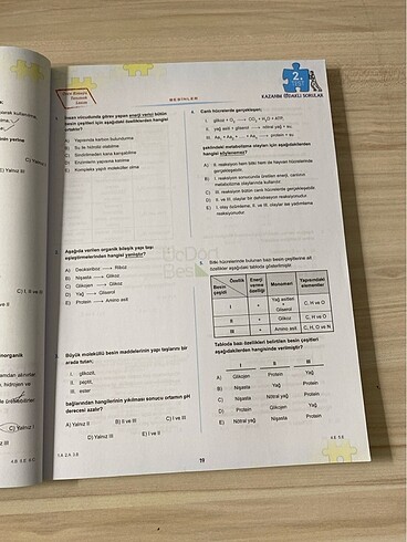  Beden 345 tyt biyoloji