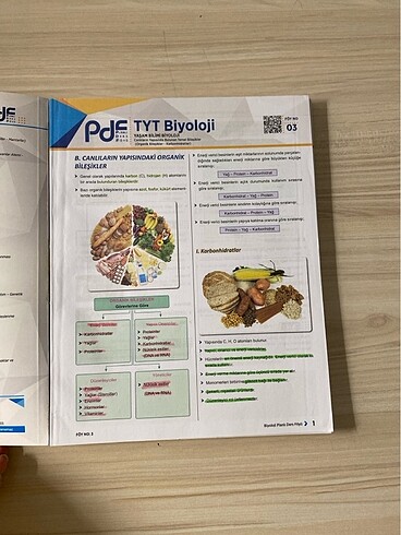  biyoloji PDF