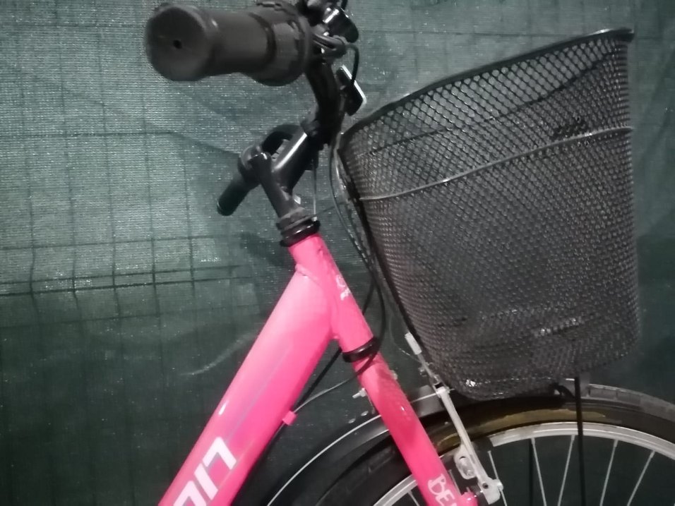 Pembe Renkli Falcon Kadın Bisikleti - Görsel 2