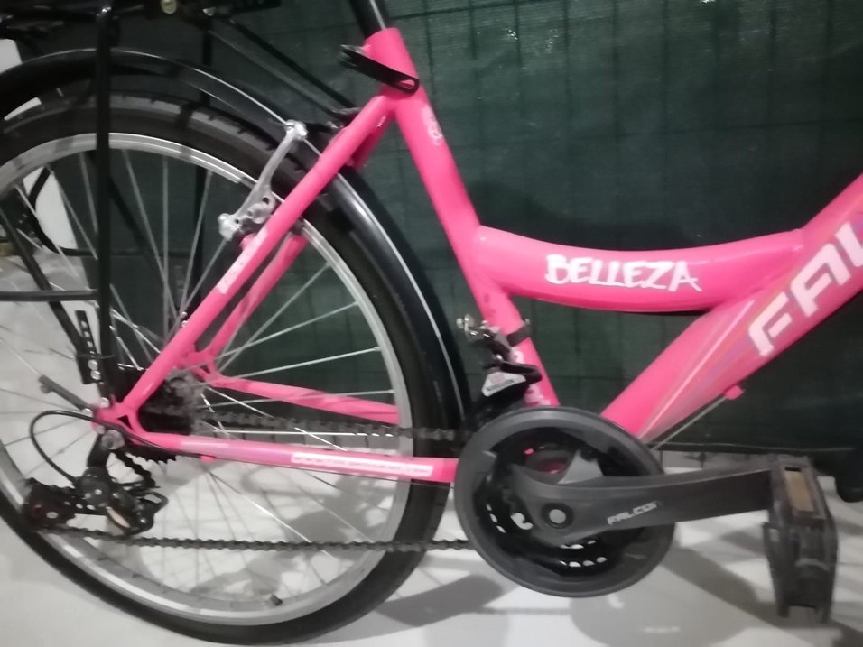Pembe Renkli Falcon Kadın Bisikleti - Görsel 3