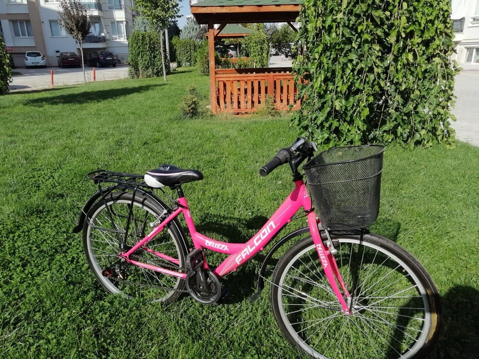 Pembe Renkli iki Tekerlekli Bisiklet - Görsel 2