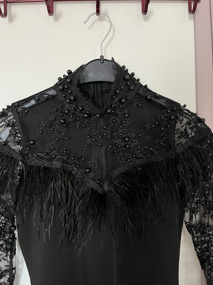 Siyah Nakışlı Kadın Elbise - Görsel 2