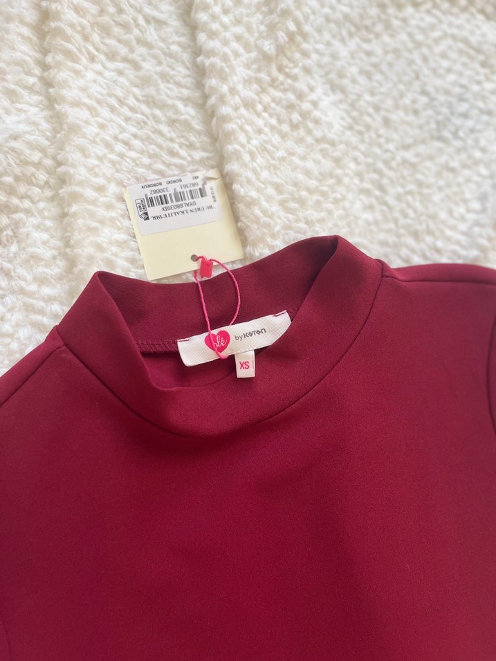 Bordo Yüksek Yakalı Kısa Kollu Midi Elbise - Görsel 4