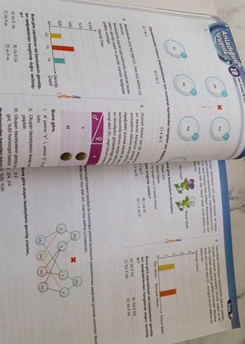 Beden 8. Sınıf Bal Fen Bilimleri Soru Bankası