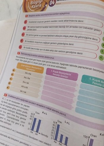 Beden Renk 8. Sınıf Bal Fen Bilimleri Soru Bankası