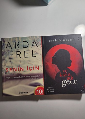 Arda Erel ve Ertürk Aksun Romanları