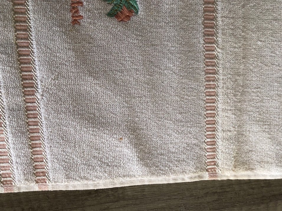 Nakışlı Pastel Beyaz Havlu - Görsel 4