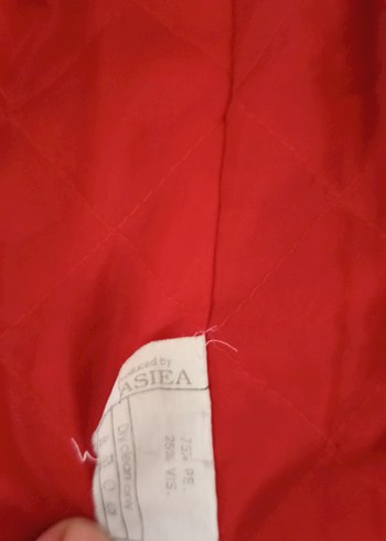 Gri Regular Fit kadın Midi Ceket - Görsel 6