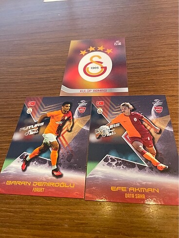 Panini futbolcu kartı