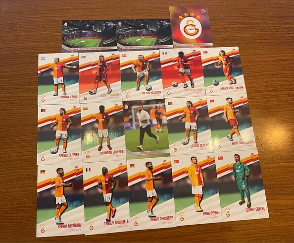 Panini futbolcu kartı