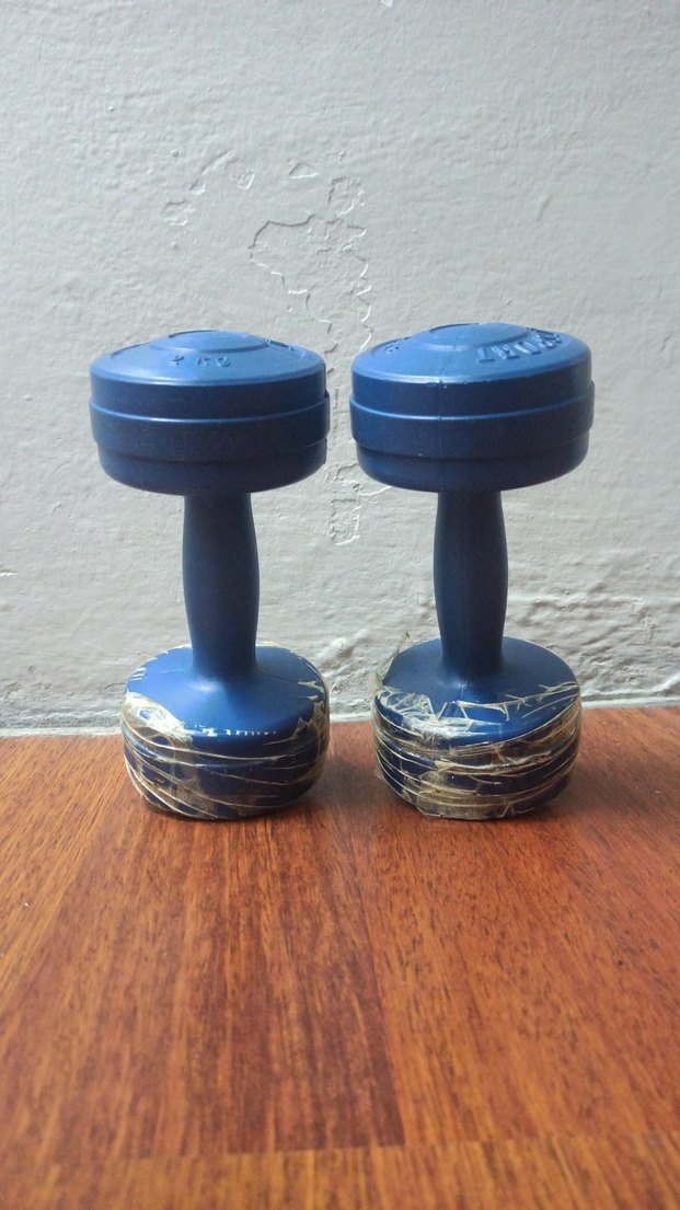 Mavi 2 Kg Dambıl - Görsel 2