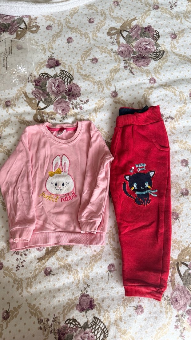 Nakışlı Uzun Kollu Bebek Kız Takımı - Görsel 4