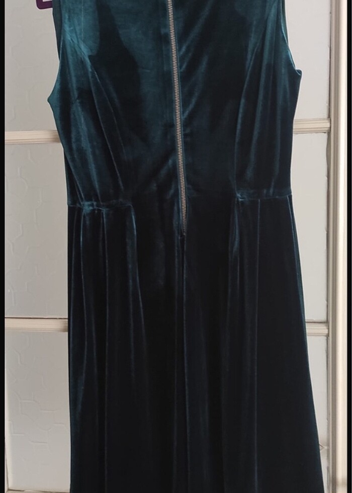 Yeşil ördek - Görsel 2