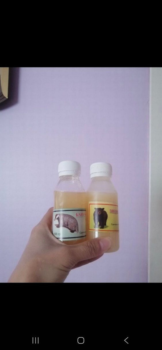 Ayı yağı porsuk yağı - Görsel 2