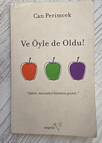 Can Perimcek - Ve Öyle de Oldu! Kitap