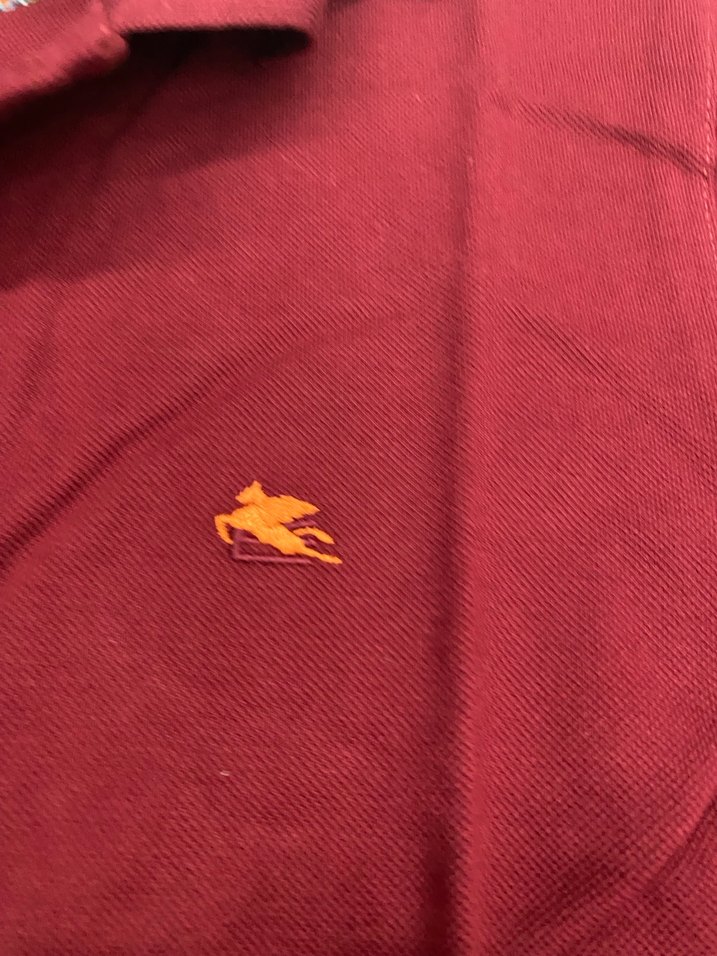 Bordo Düğmeli Polo Yaka Erkek Tişört - Görsel 4