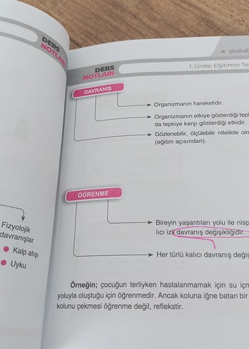  2025 MEB-AGS Eğitim Temelleri Ders Notları