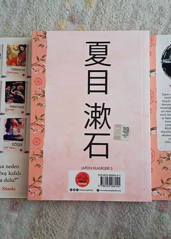Beden Renk Küçük Bey - Natsume Soseki