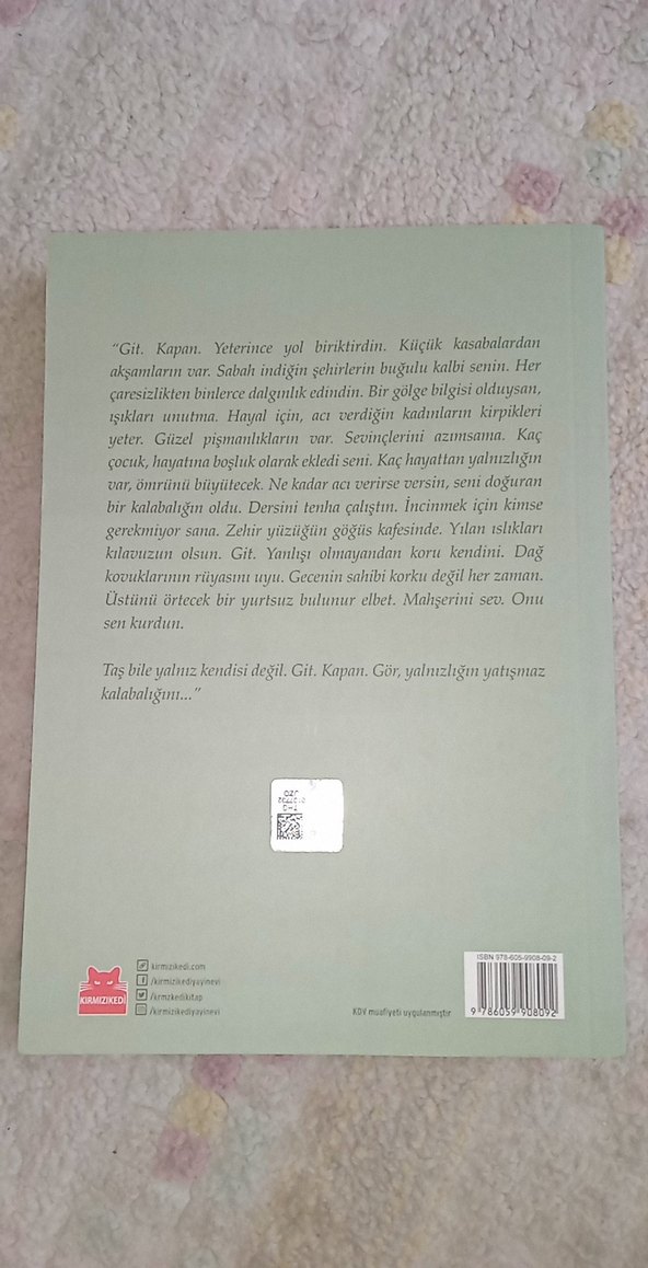 Çekilme Suları - Şükrü Erbaş - Görsel 2