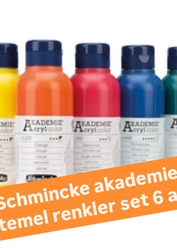 schmincke akademie 500 ml x 6 renk set