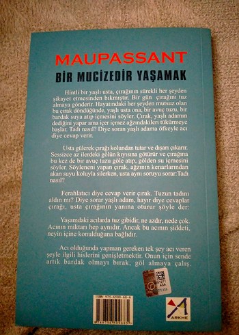 Maupassant - Bir Mucizedir Yaşamak Romanı - Görsel 2