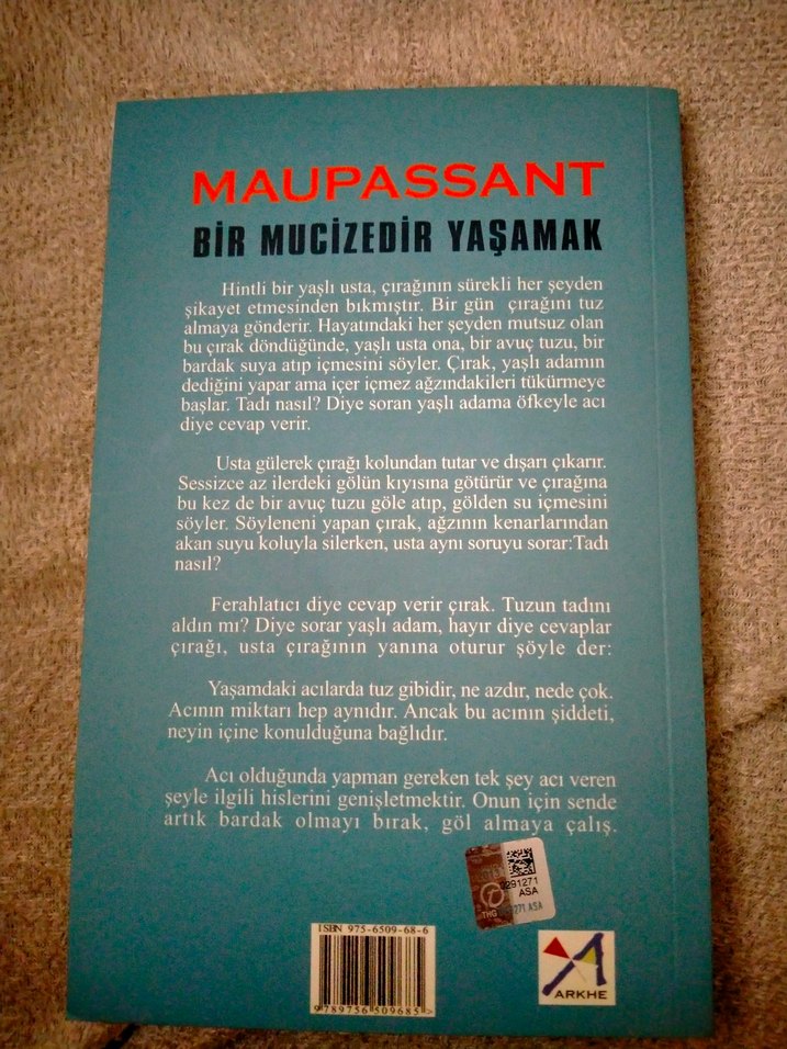 Maupassant - Bir Mucizedir Yaşamak Romanı - Görsel 2