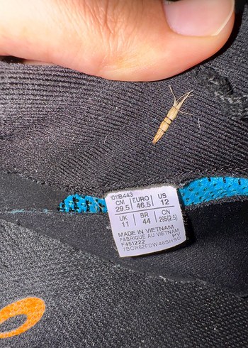 Asics Erkek Mavi Spor Ayakkabı Velcro Bantlı
