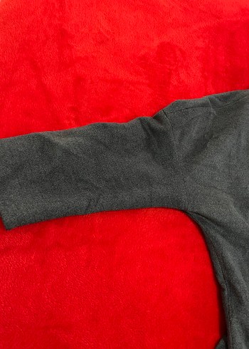 Koyu gri uzun kaban - Görsel 2