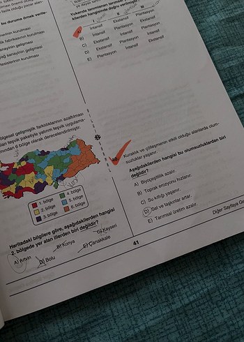 Türk Dili ve Edebiyatı Sosyal Bilimler-1 Denemeleri