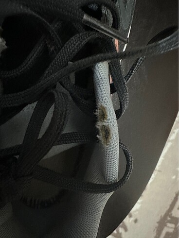 Adidas Adidas