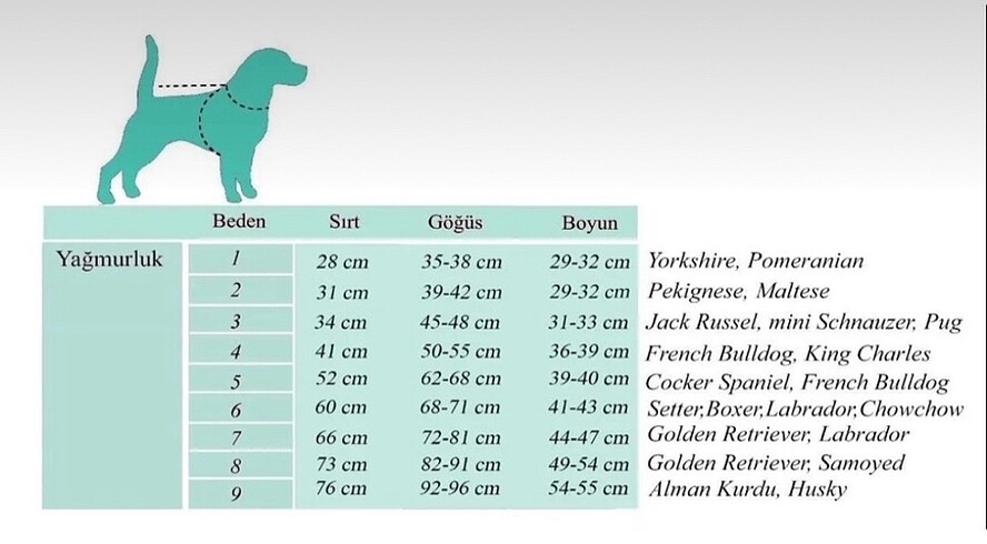 Beden Alphadog büyük ırk köpek yağmurluğu