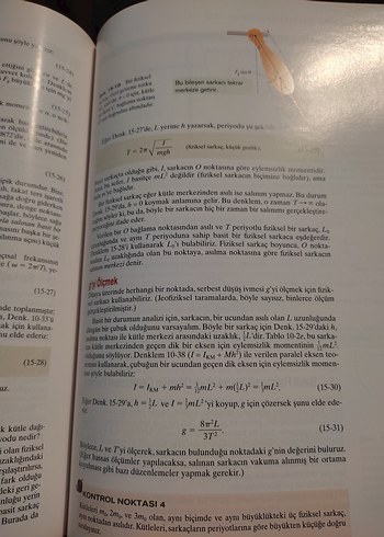 Beden Renk Fiziğin Temelleri 1. Kitap - Genişletilmiş Baskı
