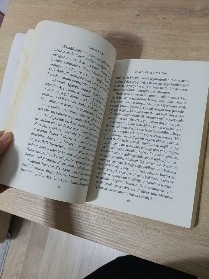 Sarı Buğday Mavi Umut - Erdal Kara - Görsel 4