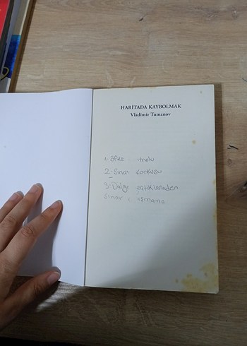 Haritada Kaybolmak - Vladimir Tumanov - Görsel 4