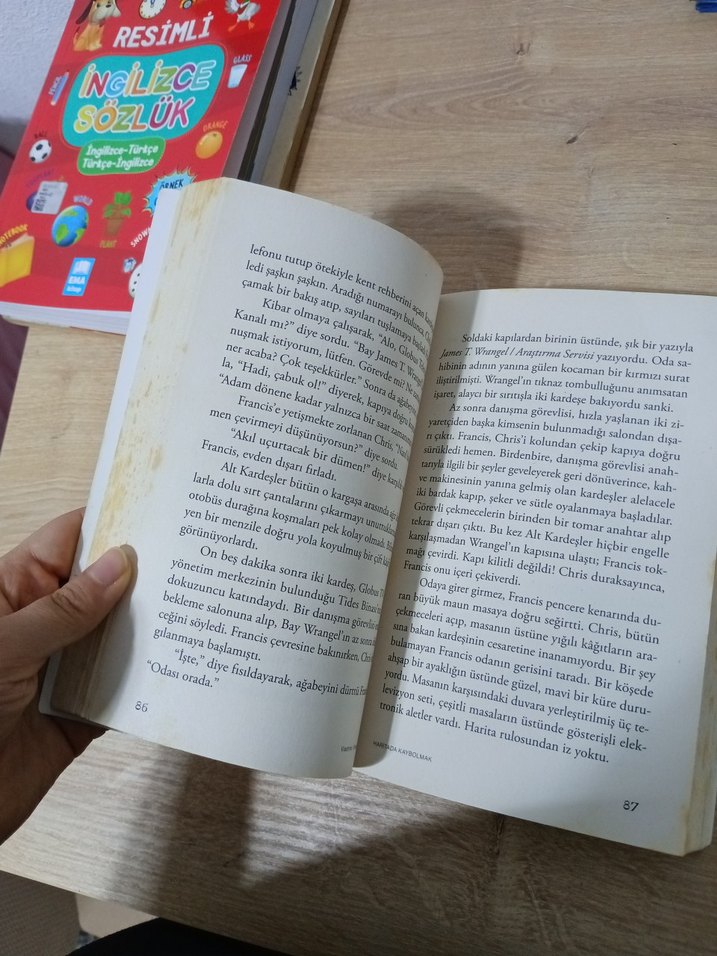 Haritada Kaybolmak - Vladimir Tumanov - Görsel 3