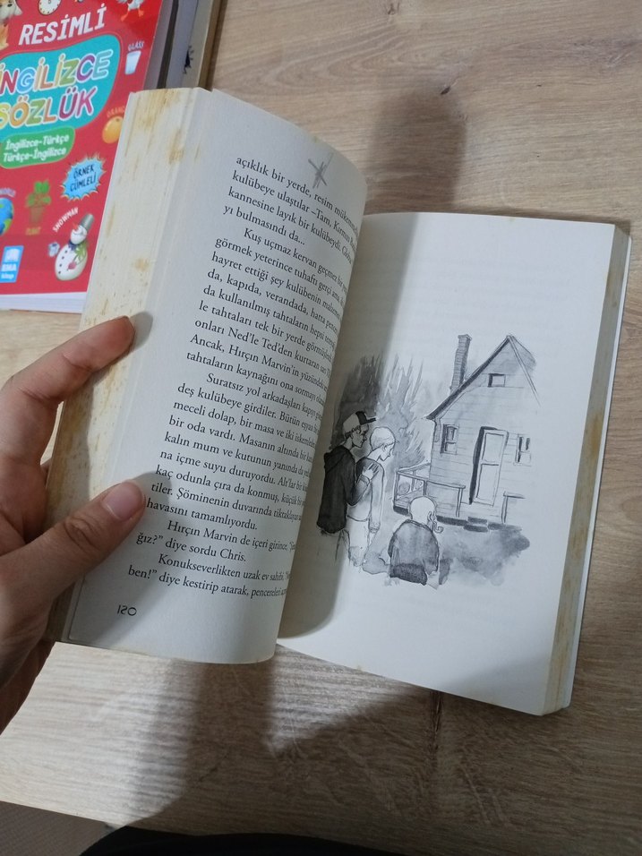 Haritada Kaybolmak - Vladimir Tumanov - Görsel 2