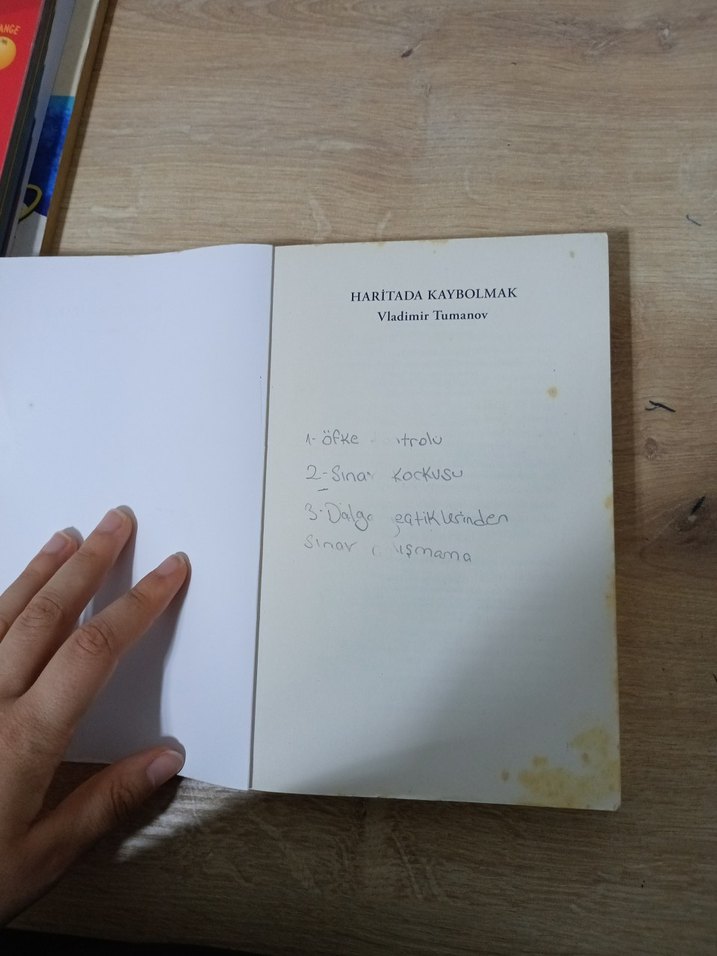 Haritada Kaybolmak - Vladimir Tumanov - Görsel 4