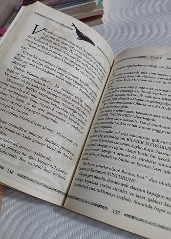 Ulysses Moore Serisinden : Taşların Muhafızları - Görsel 2