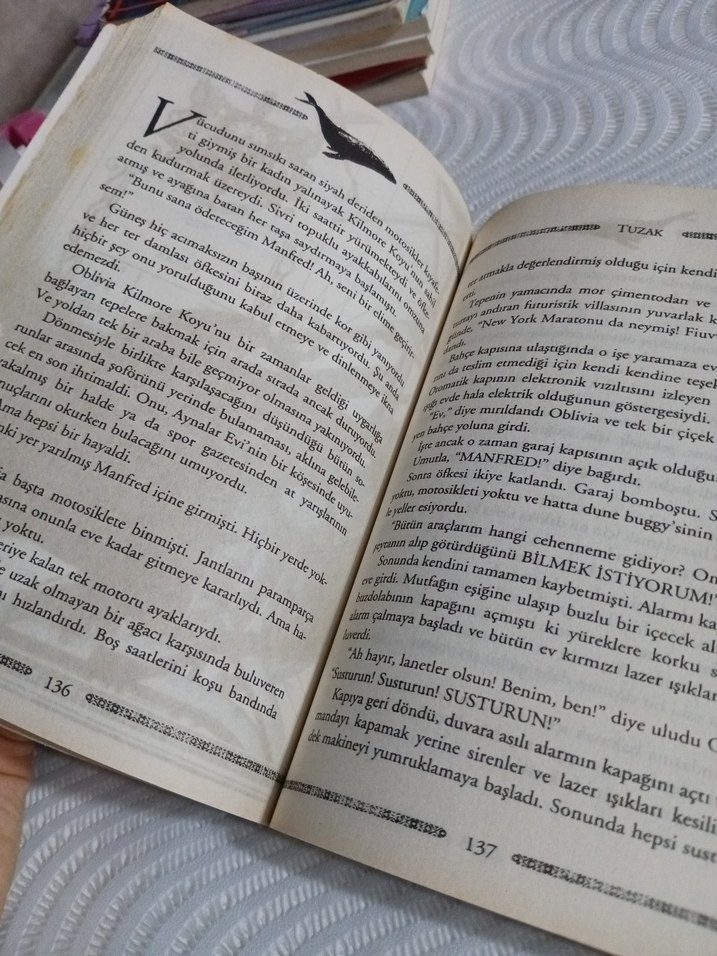 Ulysses Moore Serisinden : Taşların Muhafızları - Görsel 2