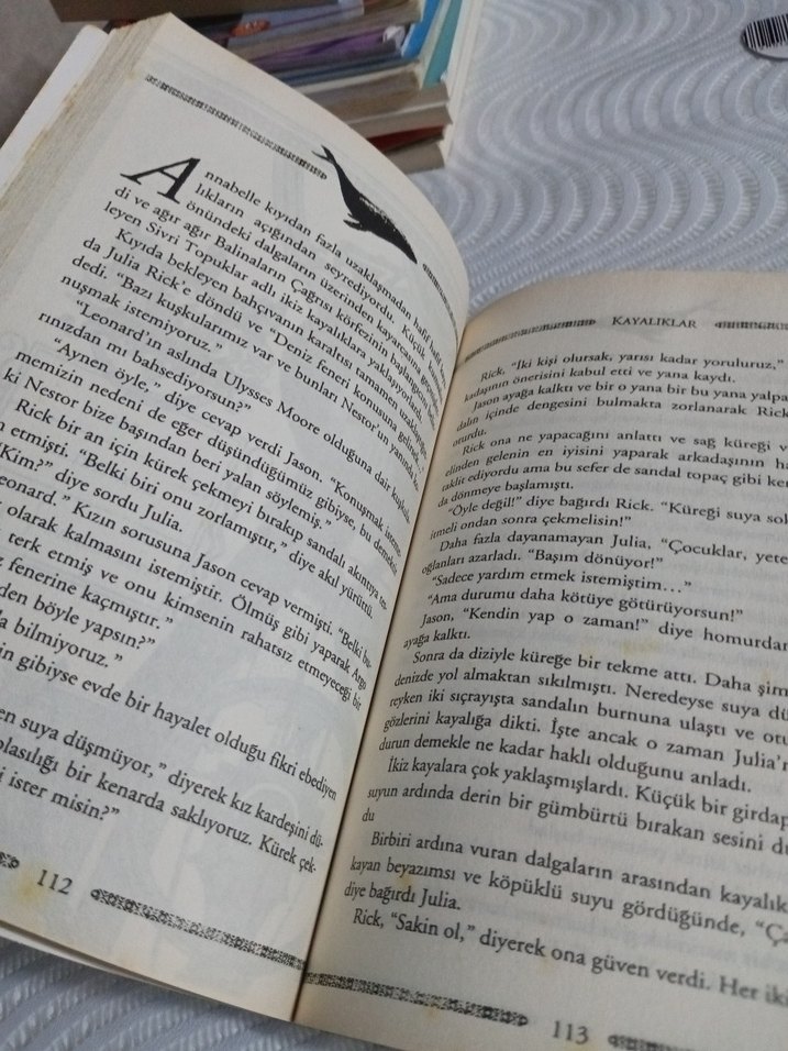 Ulysses Moore Serisinden : Taşların Muhafızları - Görsel 3