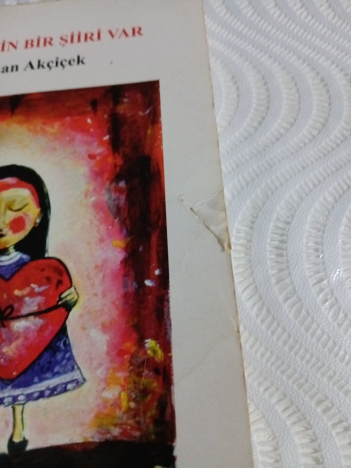 Her Harfin Bir Şiiri Var - Gökhan Akçiçek - Görsel 4