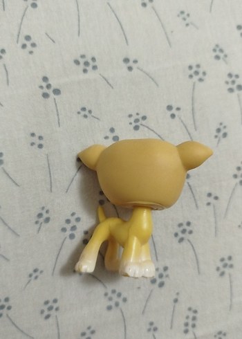 lps miniş - Görsel 2